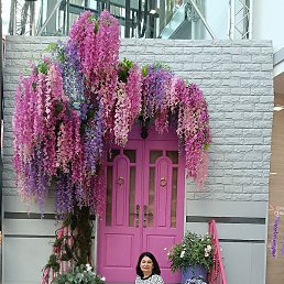 Lyubov, ������