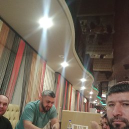 , 41, 