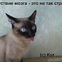 ���� ���������, �����, 35 ��� - ��������� 15 ������ 2025