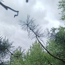 ���� ������, ����������� - ��������� 15 ���� 2026 � ������ ������ 2026�