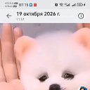 ���� ������, ������������, 52 ���� - ��������� 23 ������� 2026 � ������ ���� ����������