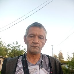 , 44, 