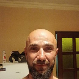 �����, 41 ���, ���������