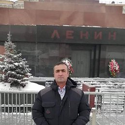 , 54, 