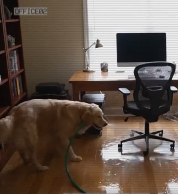 ����� �� �� ������� �������