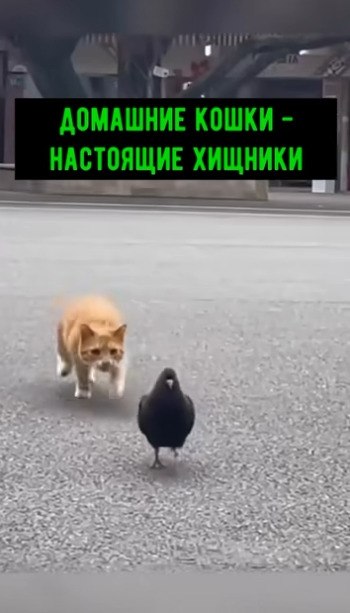 �� ������� ������, ����� �� � �������� ���!