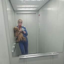 , , 51 