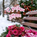 ���� �����, �������, 68 ��� - ��������� 26 ������� 2025 � ������ ���� ����������