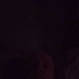 ���� ����, ������������, 50 ��� - ��������� 19 ����� 2026