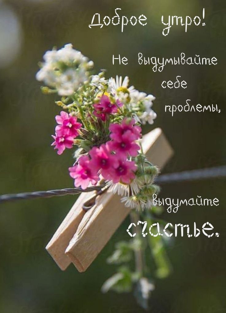   ,    . - 29  2025  01:32 - 4