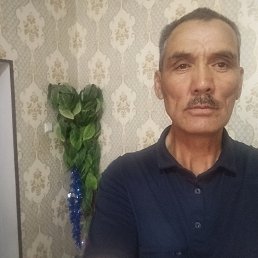 , 56, 