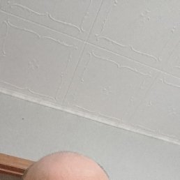 , 53 , 