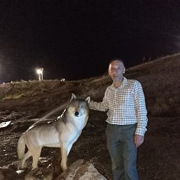 , 52, 