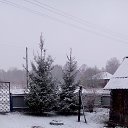 ���� ����������, ����������� - ��������� 25 ���� 2025 � ������ ���� ����������