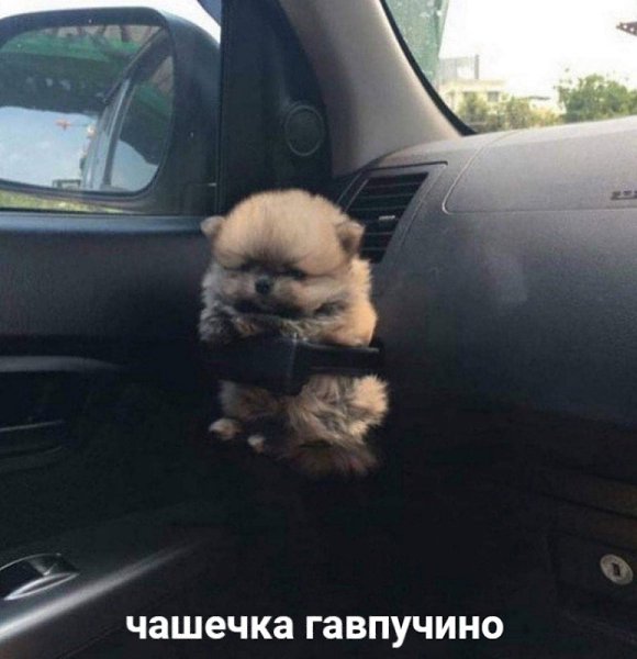  - 13  2023  20:29