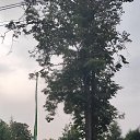 ���� ������, ������������, 54 ���� - ��������� 9 ������� 2024