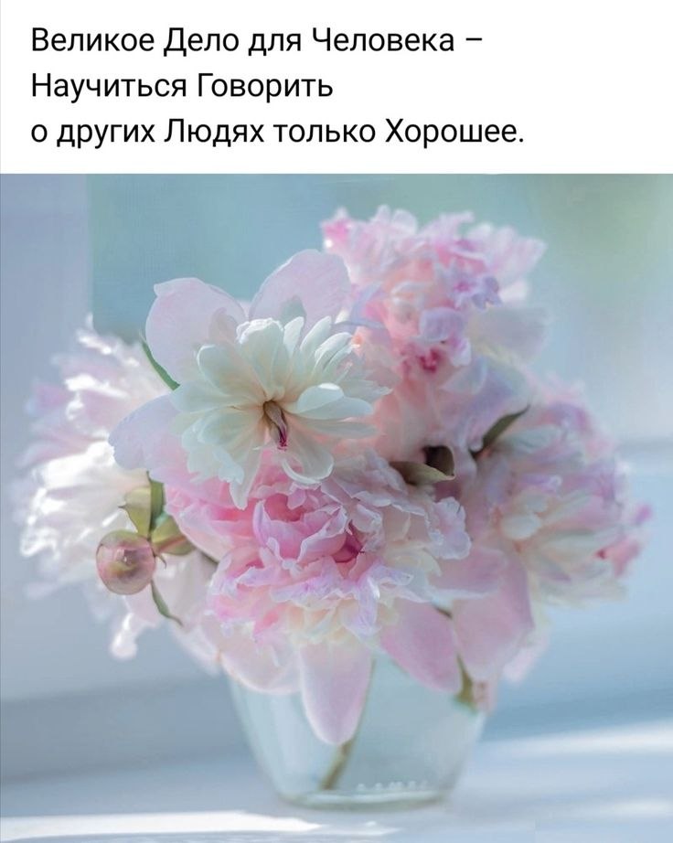   - 6  2025  15:22