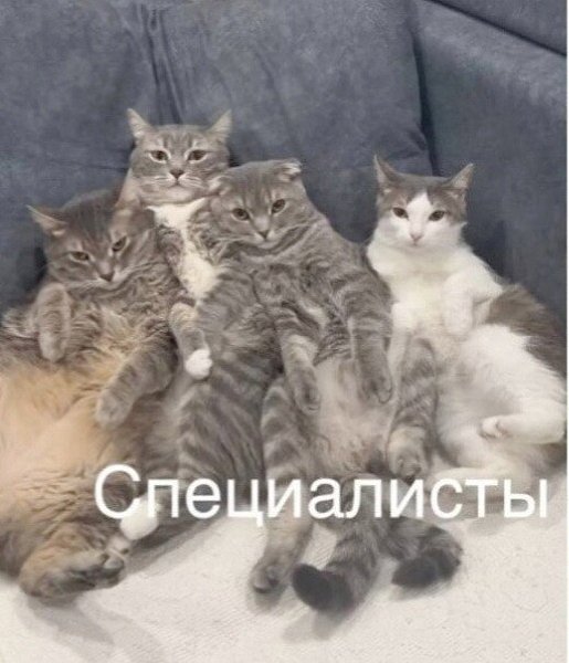 Специалисты считают, что просыпаться в 4 или 5 часов утра полезно для здоровья.