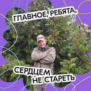 ������, 56 ���, ������