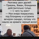 ���� �������, ����-������ - ��������� 31 ����� 2026 � ������ ���� ����������