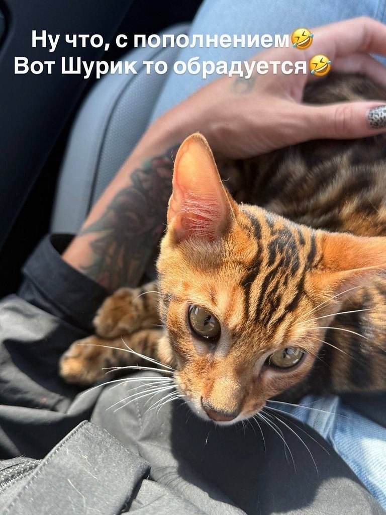 ������ ����� ���������� ��� ����� �������� ��������� ������� �� ��� ��������.������� �� ������� ... - 3