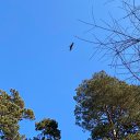 ���� ������, �����������, 45 ��� - ��������� 1 ������ 2023 � ������ ���� ����������