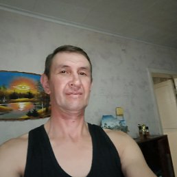 , 46, 