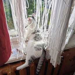 ���� ����, �����������, 47 ��� - ��������� 19 ���� 2025