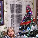 ���� ��������, ����������, 51 ��� - ��������� 2 ������ 2026 � ������ ���� ����������