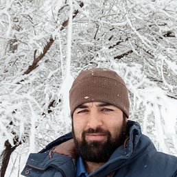 , 31, 