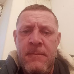 �������, ������, 46 ���