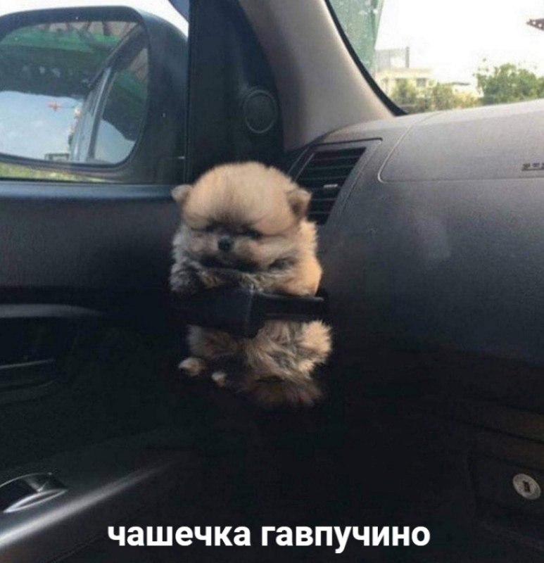  - 13  2023  20:29