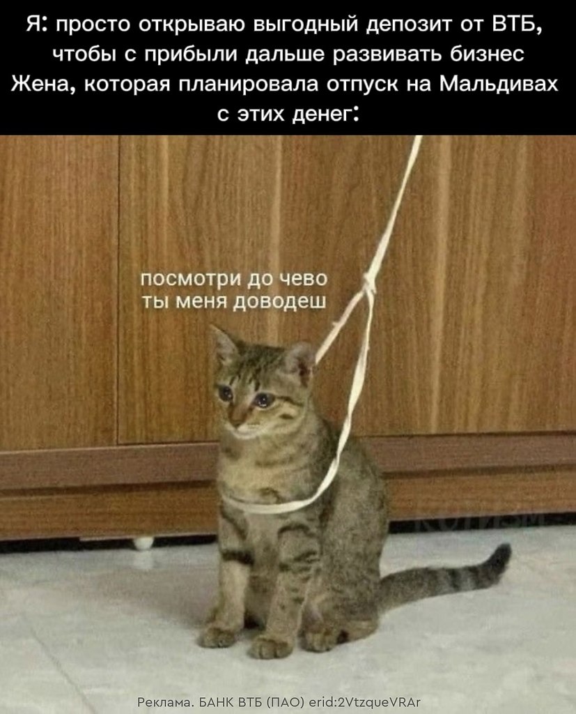   ee -  - oo o   o, o    ...
