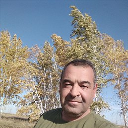, 55 , 