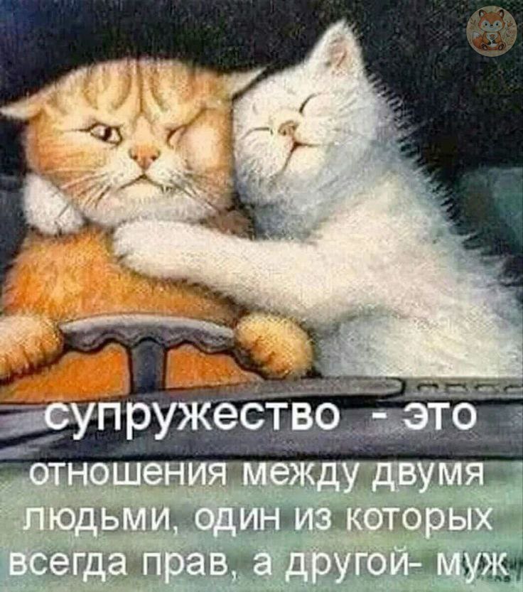   - 27  2025  19:32