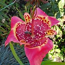 ���� �����, ����, 67 ��� - ��������� 19 ������� 2025 � ������ �������