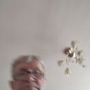 ���� ��������, ������������, 63 ���� - ��������� 17 ����� 2026 � ������ ���� ����������