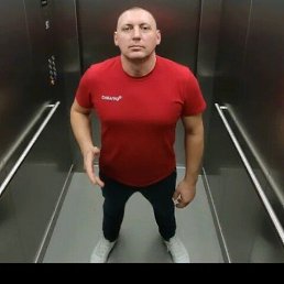 ����, 40 ���, ������