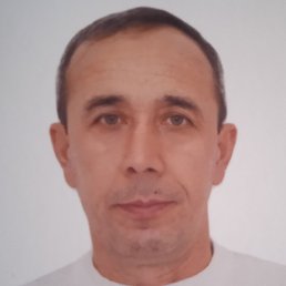 �����, �����, 51 ���