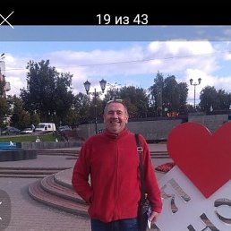 , 61, 