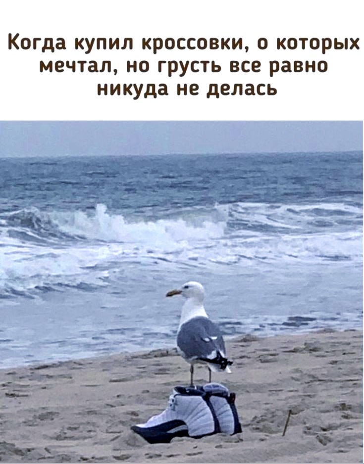   - 6  2024  19:59