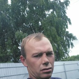 ����, 41 ���, ����