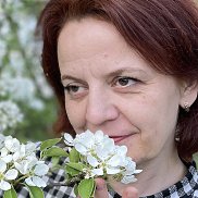 , 44 , 