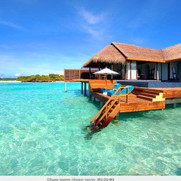 �������, ��������, 51 ���