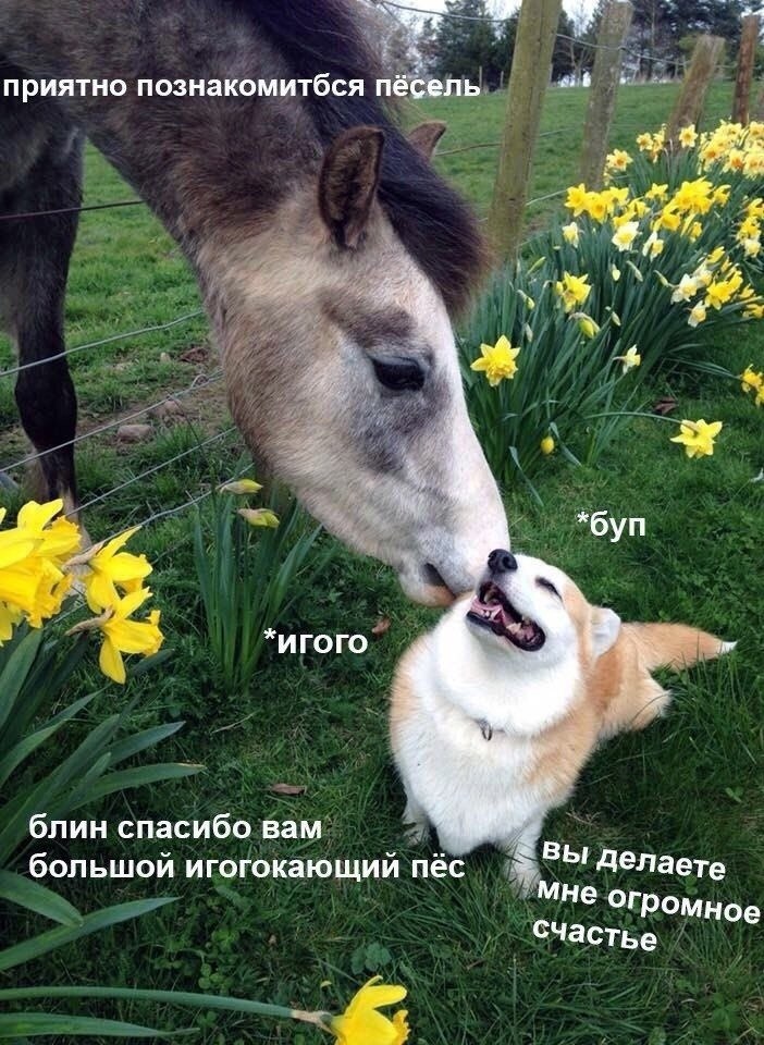 ��� � �����������