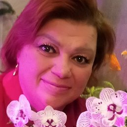 ����, �����-���������, 52 ����