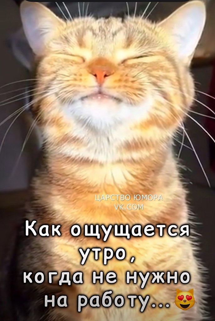 - 11  2025  10:07