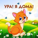 ���� �������, �����, 45 ��� - ��������� 7 ������ 2026 � ������ ������ ��������