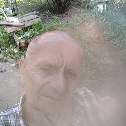 , 59, 