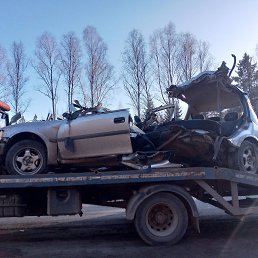 ���� Sereg@, ������, 40 ��� - ��������� 25 ������� 2024